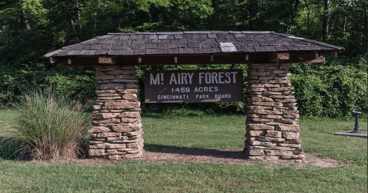 Mt. Airy Forest, Hiking Things to Do in Cincinnati This Weekend